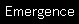 StentSpect Emergence