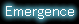 StentSpect Emergence